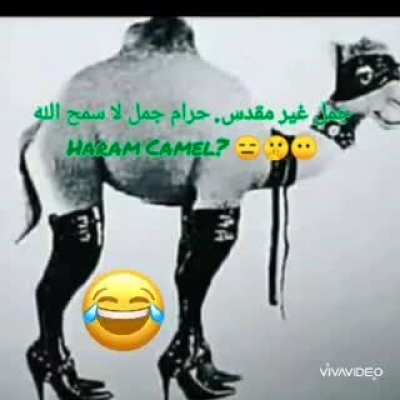 جمل غير مقدس. حرام جمل لا سمح اللهHaram Camel? First time on Camera, Allah Forbi<wbr>d🇮🇱🇮🇱<wbr>🤢🤮🚫❌❌<wbr>✡️Har<wbr>am🤮🤮