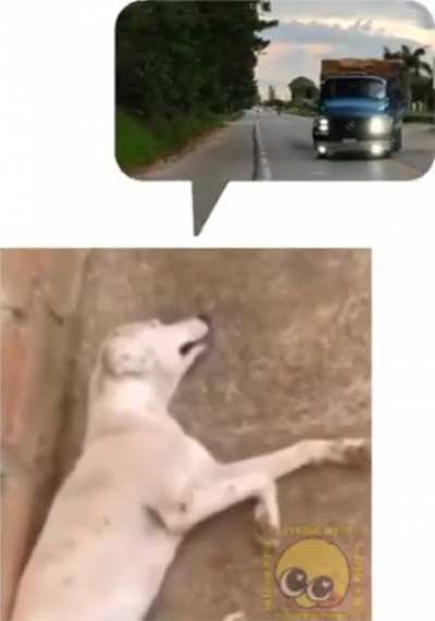 Olha oq apareceu