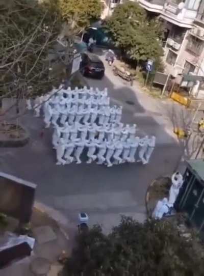 They just loaded up the cats into sacks to leave on the sidewalk and cemented us all inside our homes, but i was lucky enough to catch this glimpse of their dance routine before the yelling drone forced me back inside!