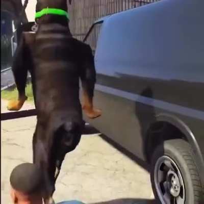 the reason why GTA 6 won’t be on PC