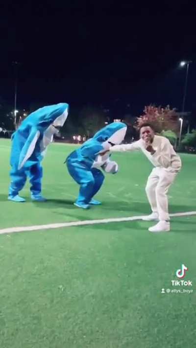 Sharks In Downtown Seattle Last Night