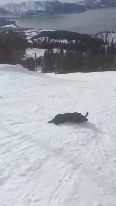 No time for walking, My people need me