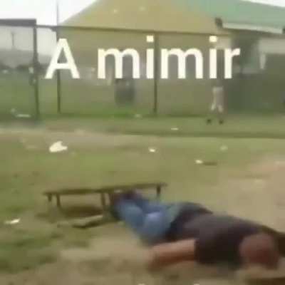 A mimir