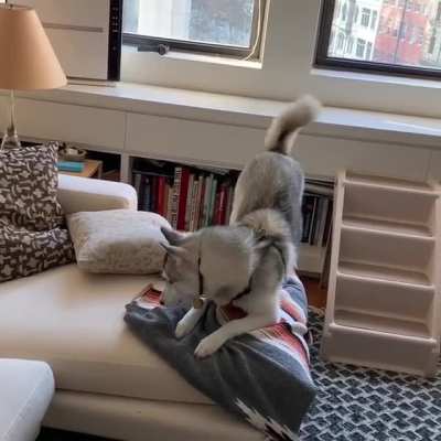 This is clearly too much of a nice treat for me. I must fight it! (Loud)