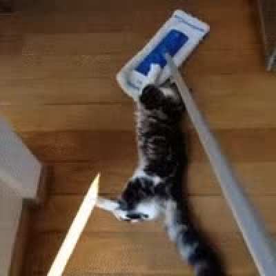 virou passeio