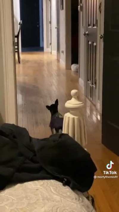 Sound on
