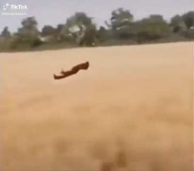 pooppp