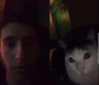 Caturday
