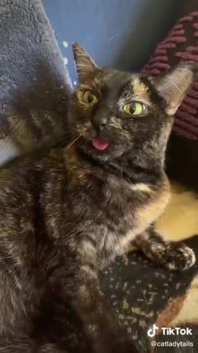 That face.