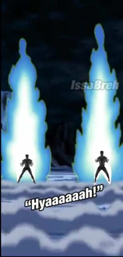 SSB Goku & SSB Vegeta's active skill but with 2 gigachads