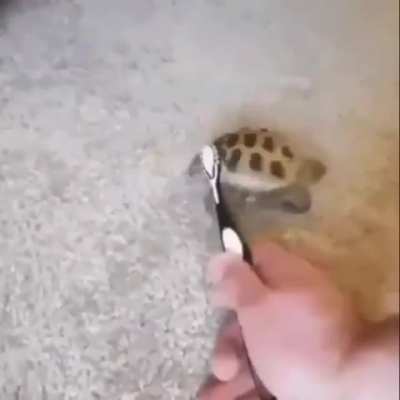 Llegue al 1000 de karma ._.XD