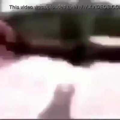 xvideos