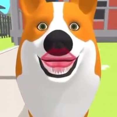 Hoy es el día del Furro nooooooo