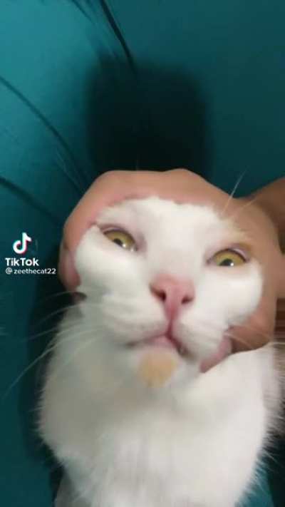 Forced Yuumi Yaassification