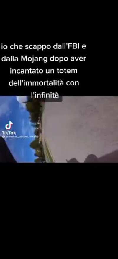 Il mio primo meme