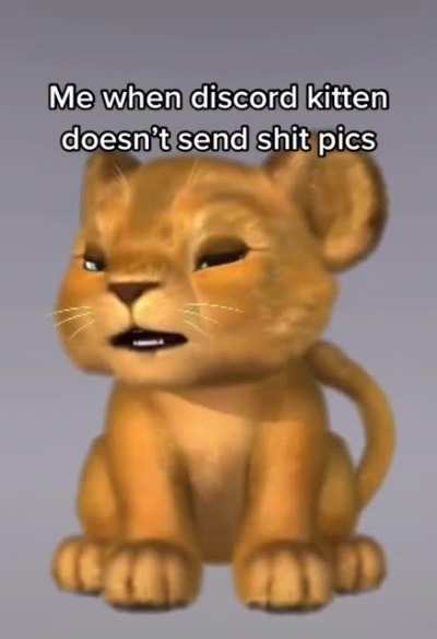 discord kitten🥵🥵😩🥵🥵😩🥵😩🥵🥵😩🥵😩