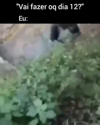 eu_nvr 
