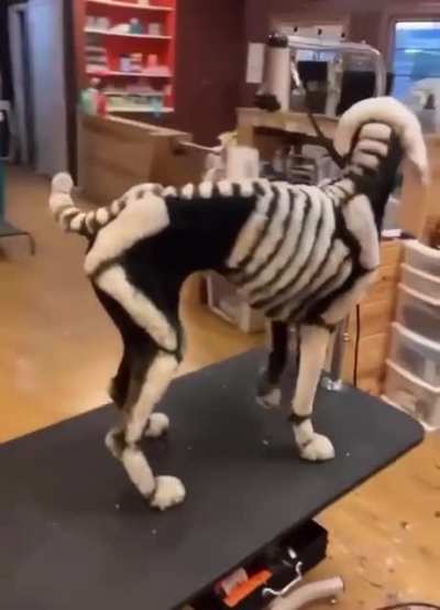 На съёмочной площадке 