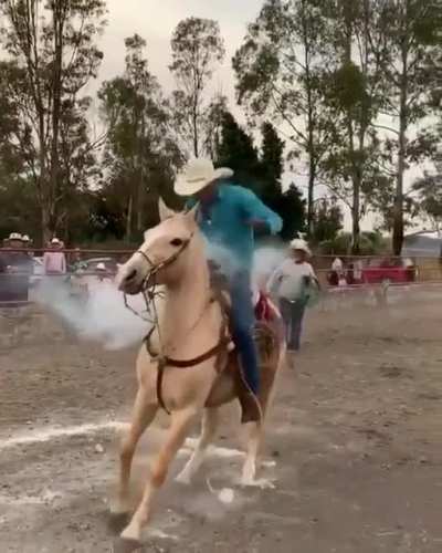 Если ты не баба- не пытайся остан<wbr>овить коня на скоку<wbr>☝️🤠ин<wbr>аче пальчик будет бо-бо😥
