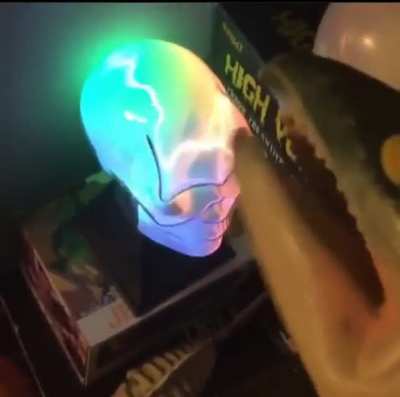 Yo guys