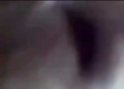 monke hate camra