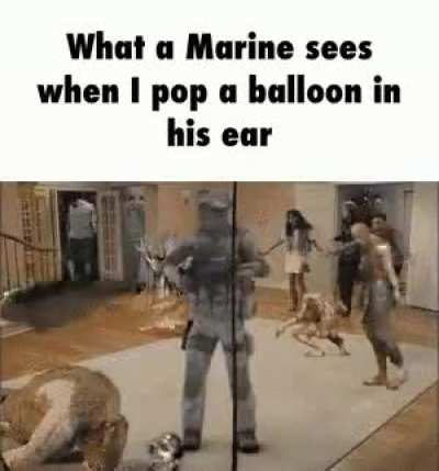 zogbot rekt