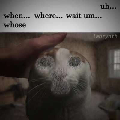 Me when I...