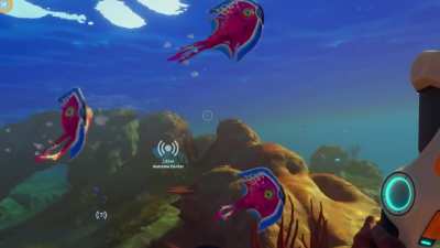 Obraxis (creative producer of Subnautica 2) recently posted gameplay footage featuring FISH for those who were wondering whether there would be fish in the game