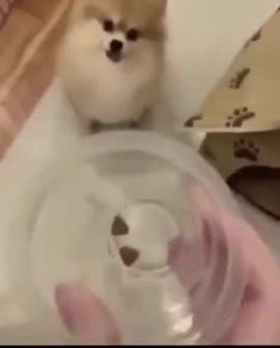 Got one freaking job... Damn human