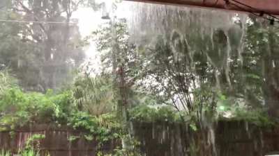 Rainy Sunday afternoon here in paradise :)
