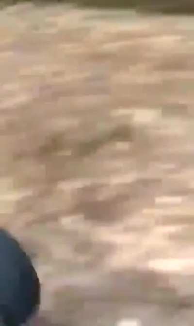Хороший тамада
