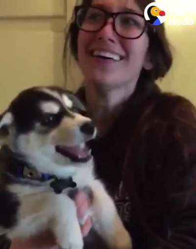 youseeingthisshit