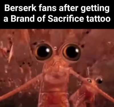 Average Berkian 