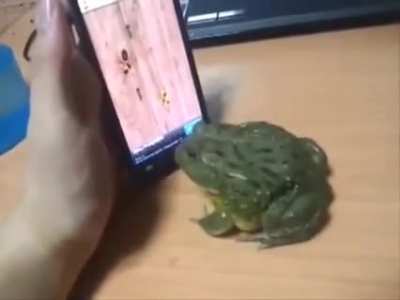 Well- I would scream too