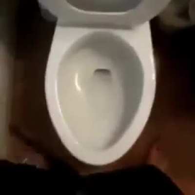 piče moje pele