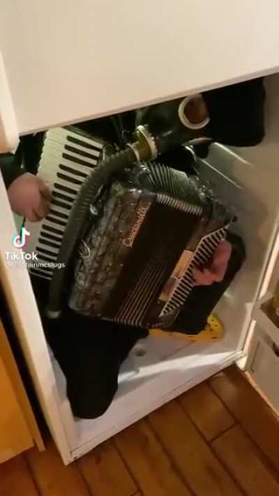 Normal Refrigerator Things