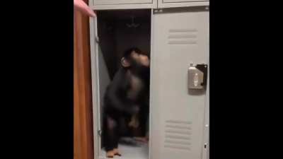 locker monke 😳