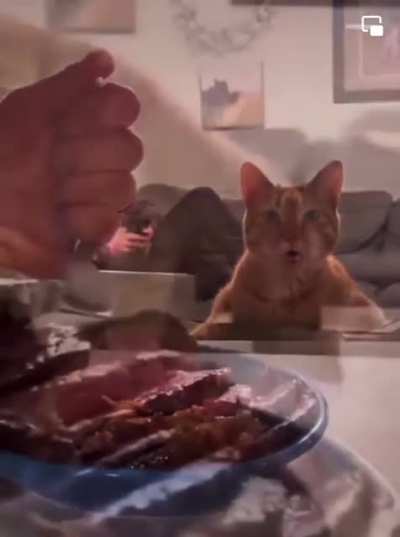 Touch da beef!