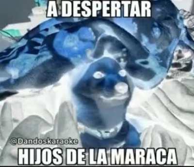 sos