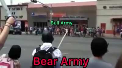 Of Bears and Bulls