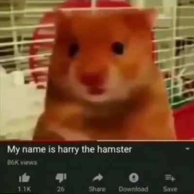 Harry
