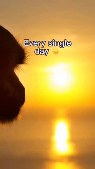Positive vibes
