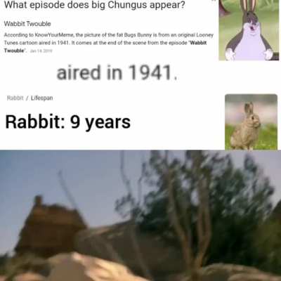 NOOOOOOOOOOOO!!!