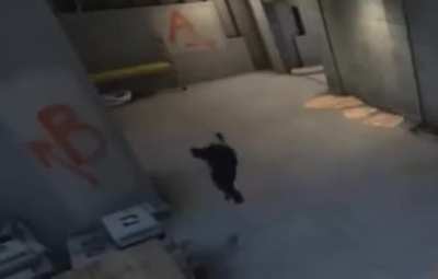 csgo.mp4
