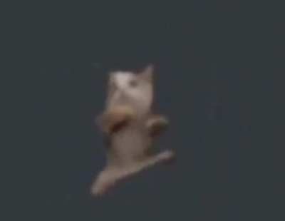 peepeepoopoo