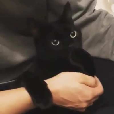 Коцъ