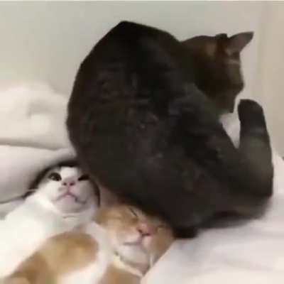 I'll take a nap right here