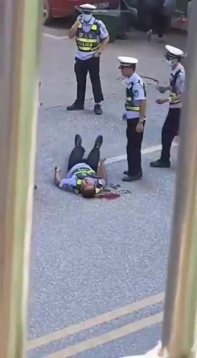 这是家燃的<wbr>粉丝在看猫<wbr>中毒吗