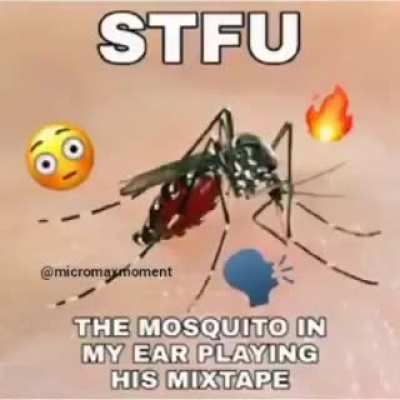 Rule
