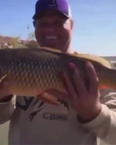 Carp